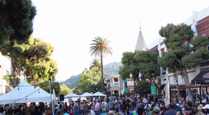 Los Gatos Street Party - promenade