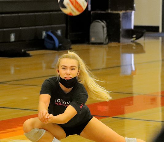 Los Gatos High girls volleyball team remains in the upper echelon