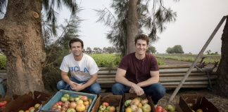 two guys with a great idea - produce and more