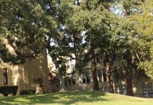 Los Gatos High School