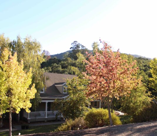 O'Connor / Amaral residence