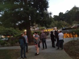 Waiting for Council to Start