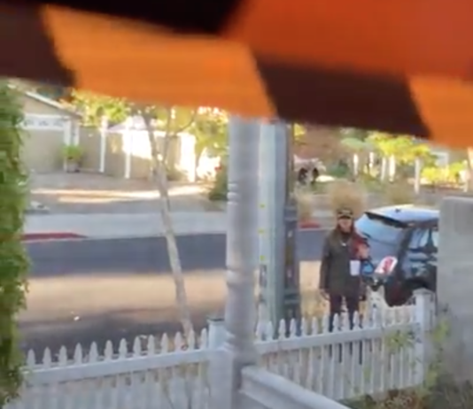 conservative protester diatribe