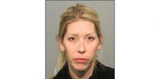 Shannon O'Connor los gatos district attorney crime charges shannon bruga