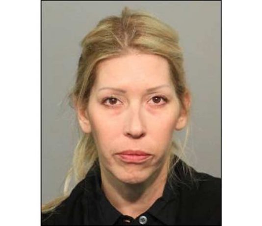 Shannon O'Connor los gatos district attorney crime charges shannon bruga