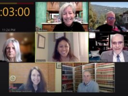Zoom Council smiles