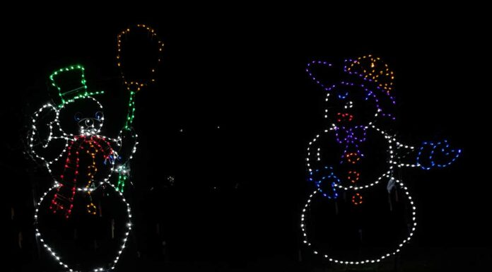 vasona park fantasy of lights