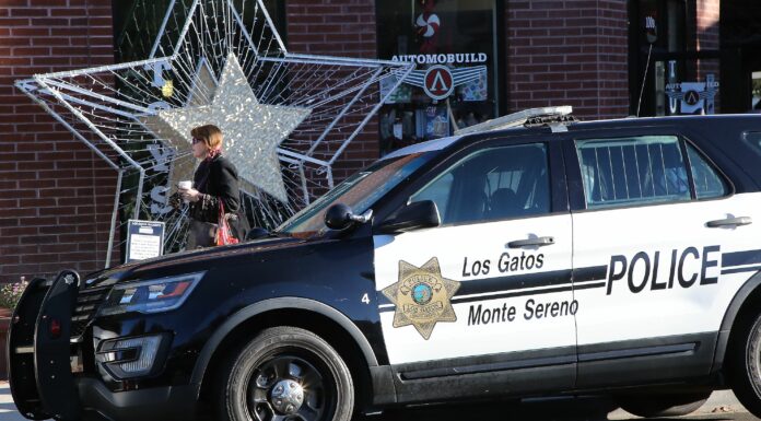 Tarmo's police cruiser pic from the holidays