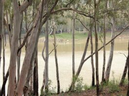 lexington reservoir