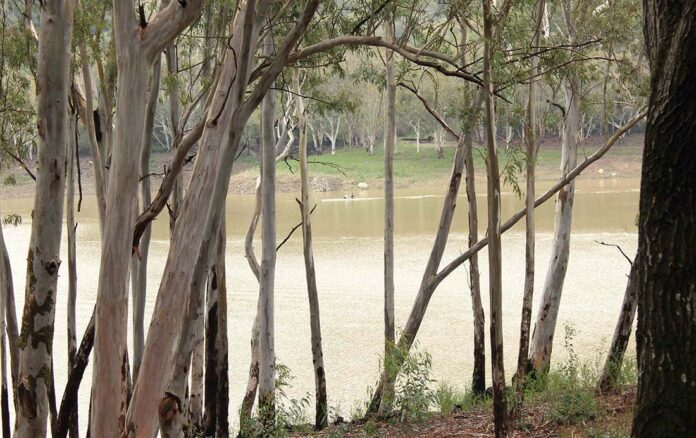 lexington reservoir