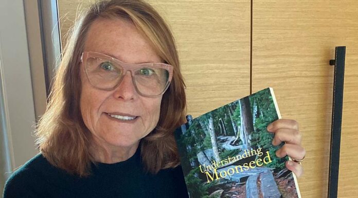 mary pacifico curtis understanding moonseed memoir