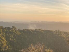 grass fire in hazy yellow sky