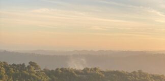 grass fire in hazy yellow sky