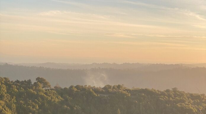 grass fire in hazy yellow sky