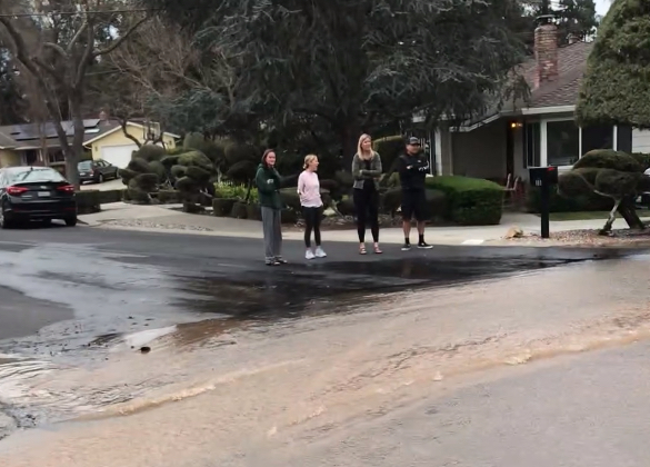 Residents of Hillbrook Drive Look at Water on the Road