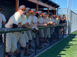 dugout