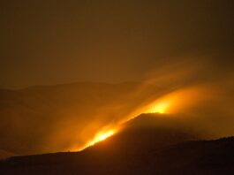 wildfire burns at night