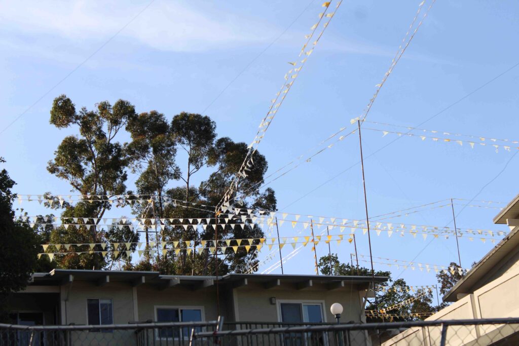 story poles in Los Gatos