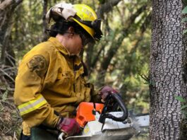 santa clara county fire fuel break