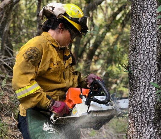 santa clara county fire fuel break