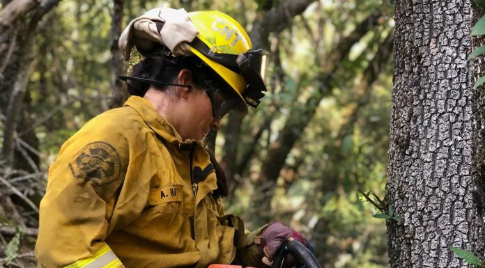 santa clara county fire fuel break