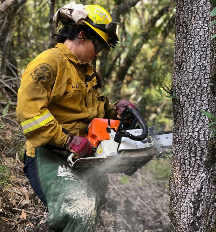 santa clara county fire fuel break