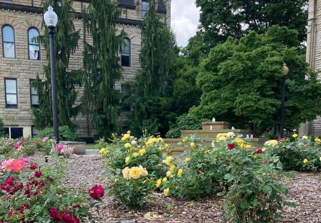 Westmont High grad makes Dean's List at Baldwin Wallace University