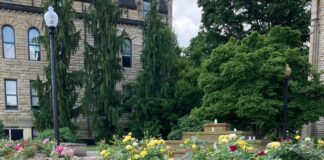 Baldwin Wallace flowers