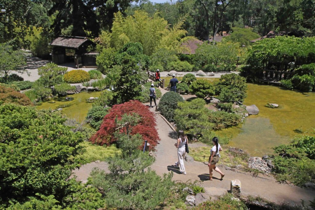 Hakone Gardens