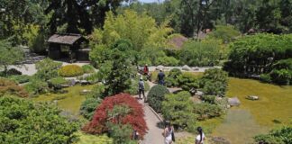 Hakone Gardens