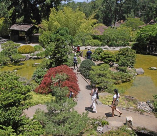Hakone Gardens