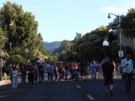 Late Afternoon-Evening Street Festival