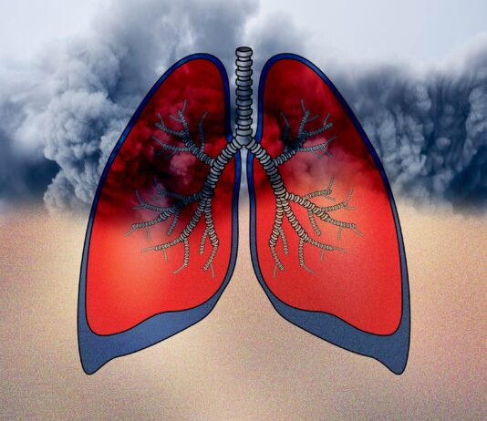 lungs and dust
