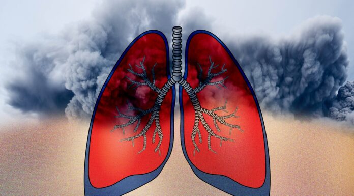 lungs and dust