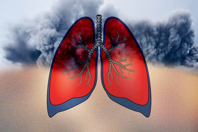 lungs and dust
