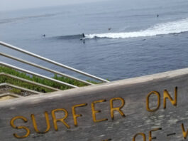 surfer on wave