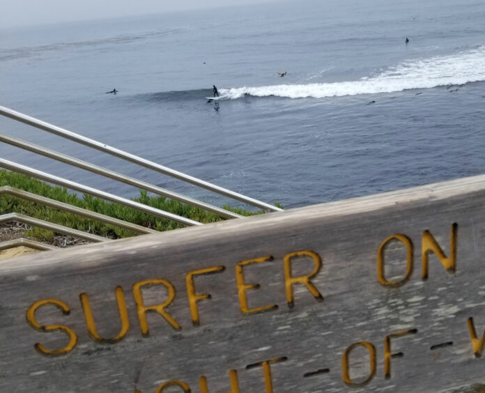 surfer on wave