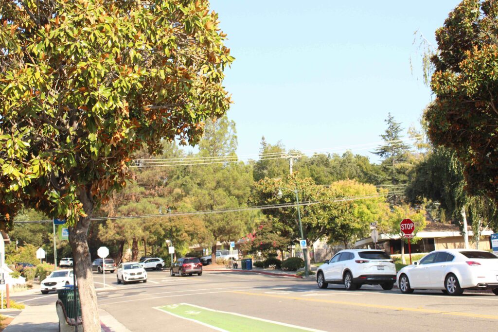 Bike lane and SUV