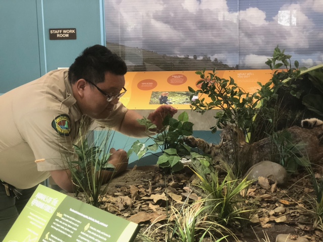 indoor diorama 