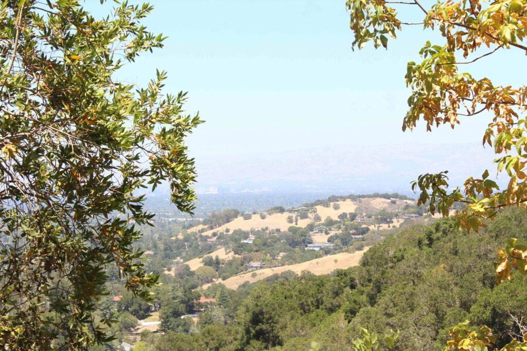 view from Los Gatos' hills