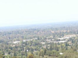 Looking out from the Los Gatos hills
