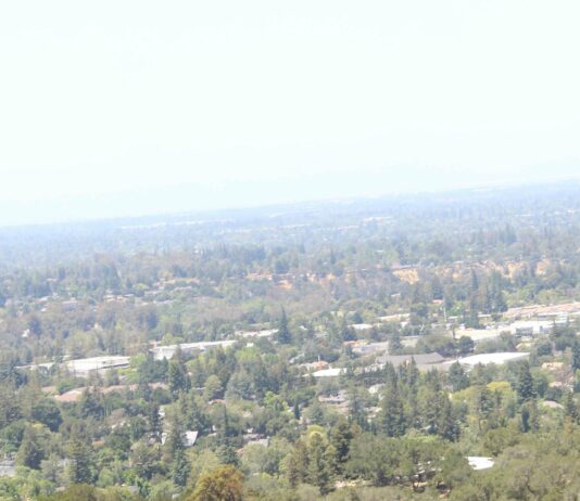 Looking out from the Los Gatos hills