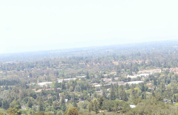 Looking out from the Los Gatos hills