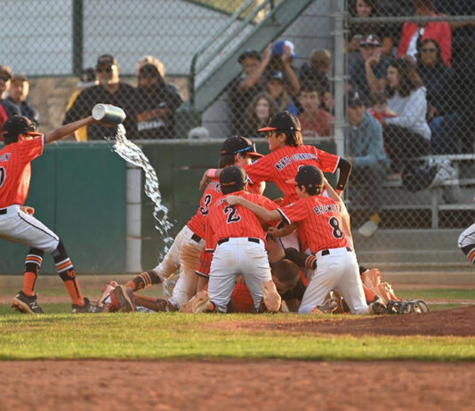 Los Gatos 12U All Stars win Section 5 Tournament, moves on to NorCal/State