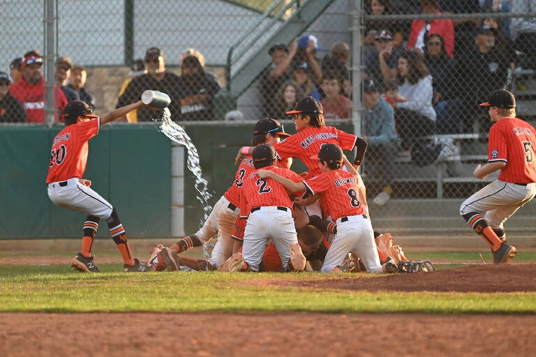 Los Gatos 12U All Stars win Section 5 Tournament, moves on to NorCal/State