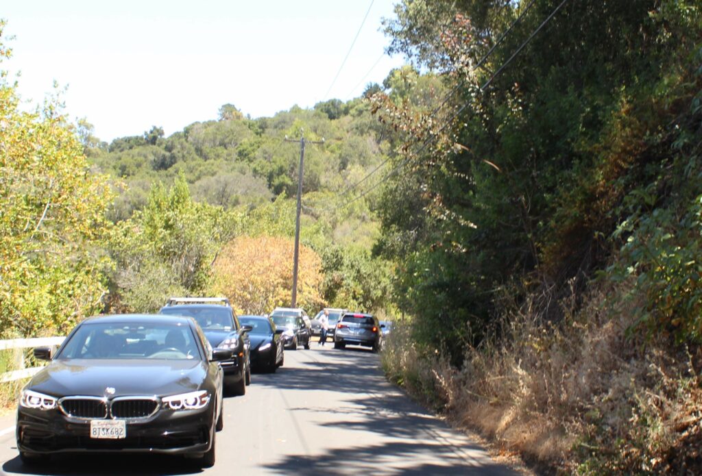 Luxury cars lined up