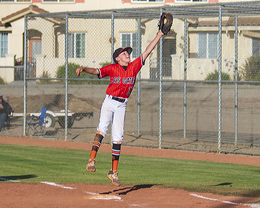 Los Gatos Little League 9U All Stars shine brightest, win District 12  championship, Los Gatan