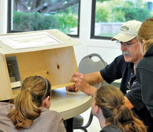 doug mcneil lighting for literacy