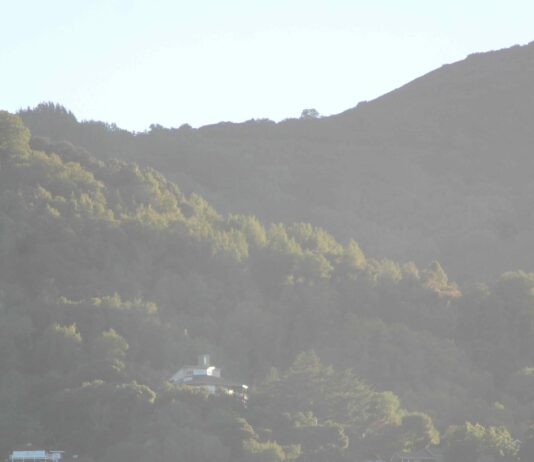 evening sun hillside