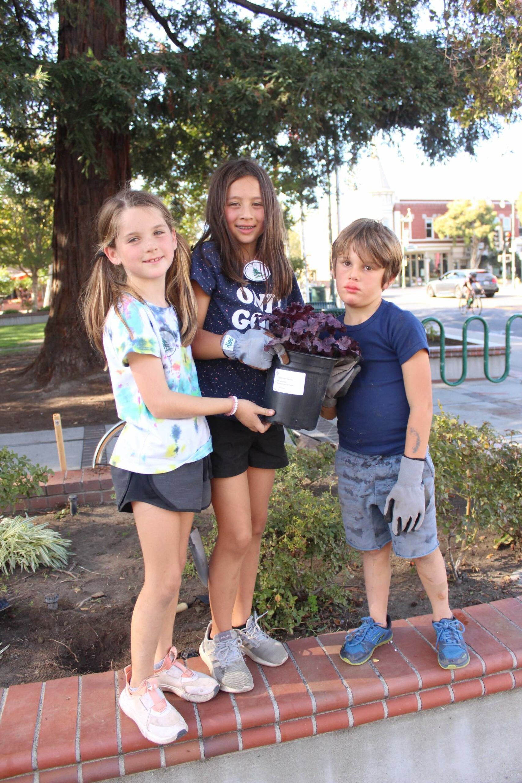 Children lead environmental project in Plaza Park | Los Gatan | Los ...